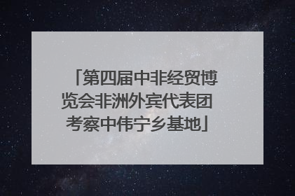 第四届中非经贸博览会非洲外宾代表团考察中伟宁乡基地