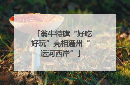翁牛特旗“好吃好玩”亮相通州“运河西岸”