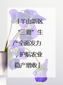羊山新区“三夏”生产全面发力，护航农业稳产增收