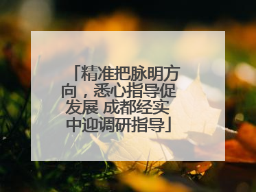 精准把脉明方向，悉心指导促发展 成都经实中迎调研指导