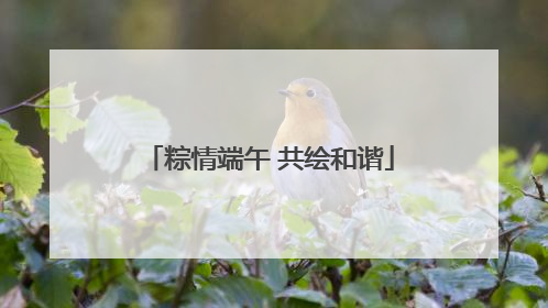 粽情端午 共绘和谐