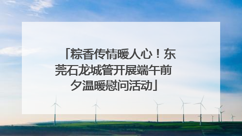粽香传情暖人心！东莞石龙城管开展端午前夕温暖慰问活动