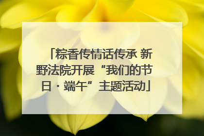 粽香传情话传承 新野法院开展“我们的节日・端午”主题活动