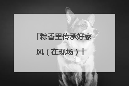粽香里传承好家风（在现场）
