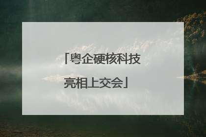 粤企硬核科技亮相上交会