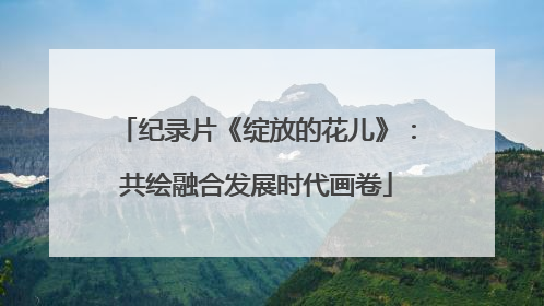 纪录片《绽放的花儿》：共绘融合发展时代画卷