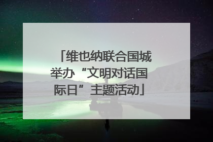 维也纳联合国城举办“文明对话国际日”主题活动