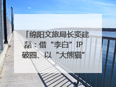 绵阳文旅局长窦建磊：借“李白”IP破圈、以“大熊猫”引流 依托科技优势绽放城市文旅魅力｜文旅局长说