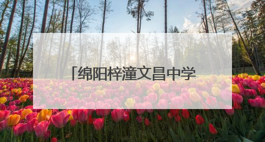 绵阳梓潼文昌中学举行2024级少先队离队仪式暨“六一”游园活动