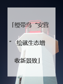绶带鸟“安营” 绘就生态增收新景致