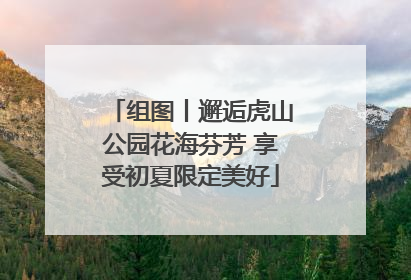 组图丨邂逅虎山公园花海芬芳 享受初夏限定美好