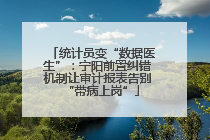 统计员变“数据医生”：宁阳前置纠错机制让审计报表告别“带病上岗”