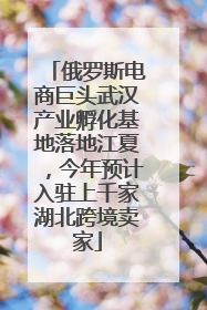 俄罗斯电商巨头武汉产业孵化基地落地江夏，今年预计入驻上千家湖北跨境卖家
