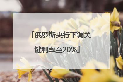 俄罗斯央行下调关键利率至20%