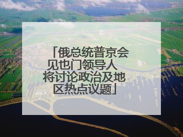 俄总统普京会见也门领导人 将讨论政治及地区热点议题