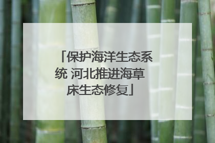 保护海洋生态系统 河北推进海草床生态修复