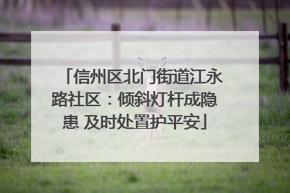 信州区北门街道江永路社区：倾斜灯杆成隐患 及时处置护平安