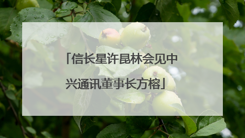 信长星许昆林会见中兴通讯董事长方榕