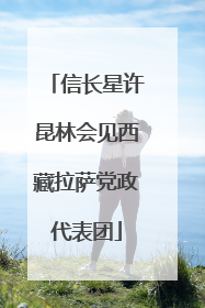 信长星许昆林会见西藏拉萨党政代表团