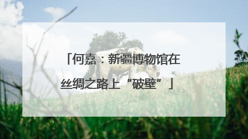 何嘉：新疆博物馆在丝绸之路上“破壁”