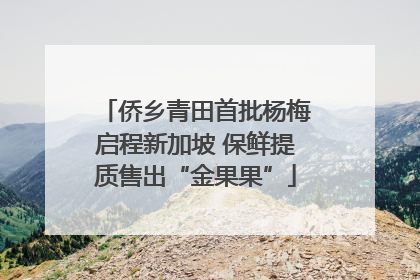 侨乡青田首批杨梅启程新加坡 保鲜提质售出“金果果”
