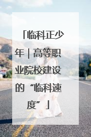 临科正少年｜高等职业院校建设的“临科速度”