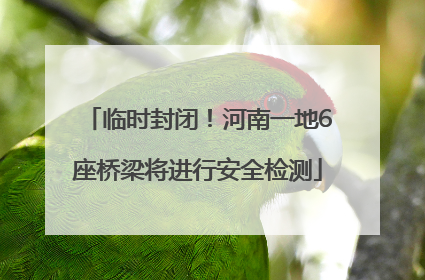 临时封闭！河南一地6座桥梁将进行安全检测