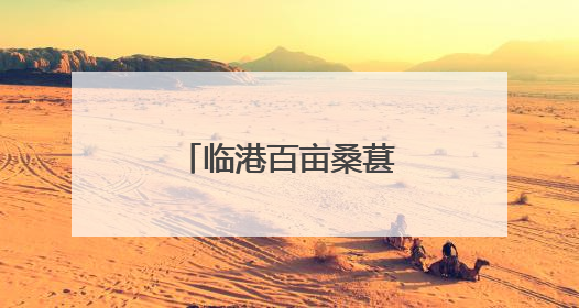 临港百亩桑葚“紫”了！采摘期可至7月初