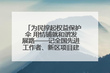 为民撑起权益保护伞 用情铺就和谐发展路——记全国先进工作者、新区项目建设中心干部卢小勇