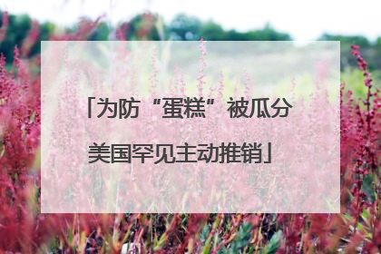为防“蛋糕”被瓜分 美国罕见主动推销