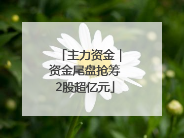 主力资金｜资金尾盘抢筹2股超亿元