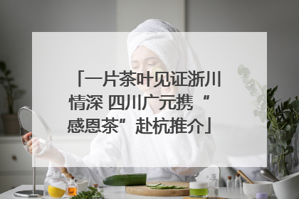 一片茶叶见证浙川情深 四川广元携“感恩茶”赴杭推介