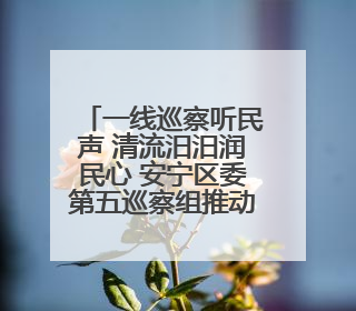 一线巡察听民声 清流汨汨润民心 安宁区委第五巡察组推动解决塘坝通水难题