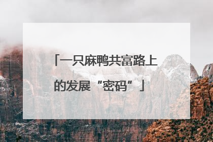 一只麻鸭共富路上的发展“密码”