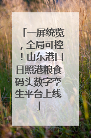 一屏统览，全局可控！山东港口日照港粮食码头数字孪生平台上线