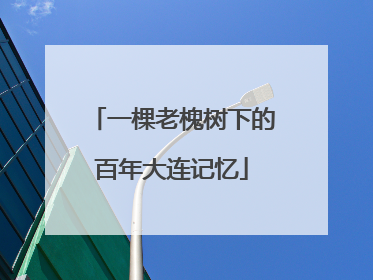 一棵老槐树下的百年大连记忆
