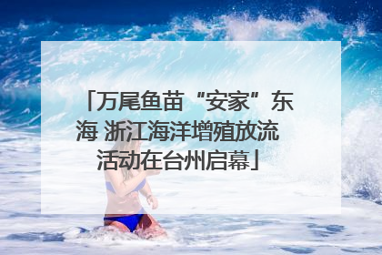 万尾鱼苗“安家”东海 浙江海洋增殖放流活动在台州启幕