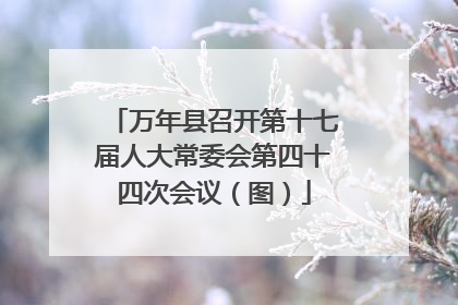 万年县召开第十七届人大常委会第四十四次会议（图）
