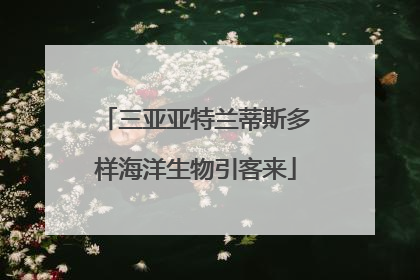 三亚亚特兰蒂斯多样海洋生物引客来