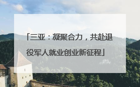 三亚：凝聚合力，共赴退役军人就业创业新征程