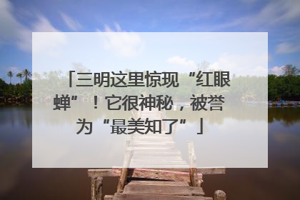 三明这里惊现“红眼蝉”！它很神秘，被誉为“最美知了”