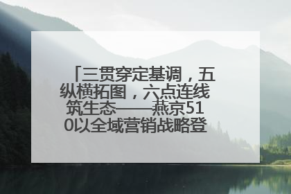 三贯穿定基调，五纵横拓图，六点连线筑生态——燕京510以全域营销战略登顶行业IP新高度