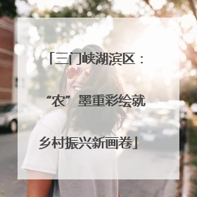 三门峡湖滨区：“农”墨重彩绘就乡村振兴新画卷