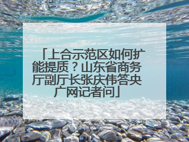 上合示范区如何扩能提质？山东省商务厅副厅长张庆伟答央广网记者问