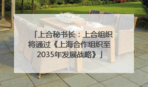上合秘书长：上合组织将通过《上海合作组织至2035年发展战略》