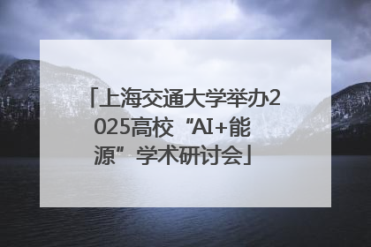 上海交通大学举办2025高校“AI+能源”学术研讨会