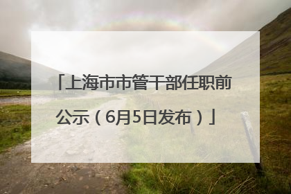上海市市管干部任职前公示（6月5日发布）