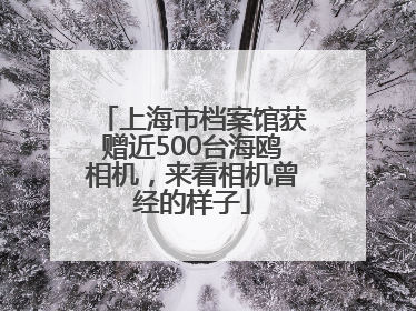 上海市档案馆获赠近500台海鸥相机，来看相机曾经的样子
