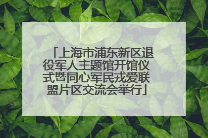 上海市浦东新区退役军人主题馆开馆仪式暨同心军民戎爱联盟片区交流会举行