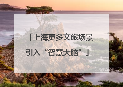上海更多文旅场景引入“智慧大脑”
